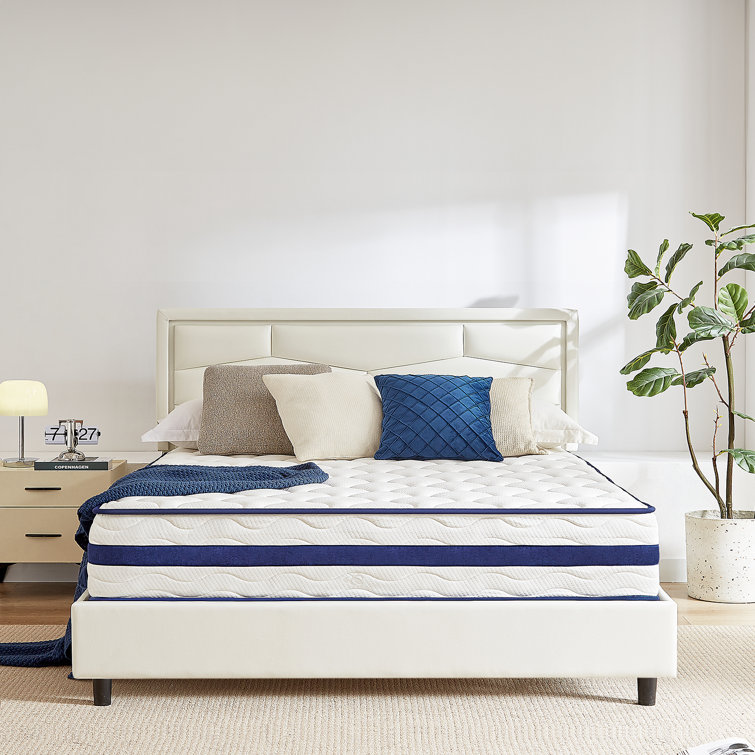 Alwyn Home 10 Inch Boxed Gel Memory Foam Hybrid Mattress, Individual